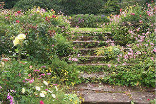 garden.jpg (40589 bytes)