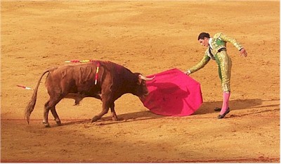 BullMatador.jpg (33427 bytes)