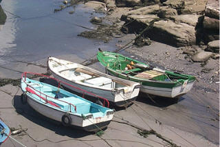 P0000745.jpg (28832 bytes)